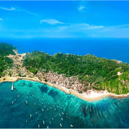 Cham Island Group Tour (Full Day) from Da Nang