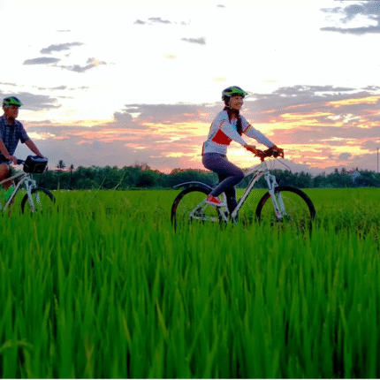 CYCLING TOUR AROUND COUNTRYSIDE HOI AN