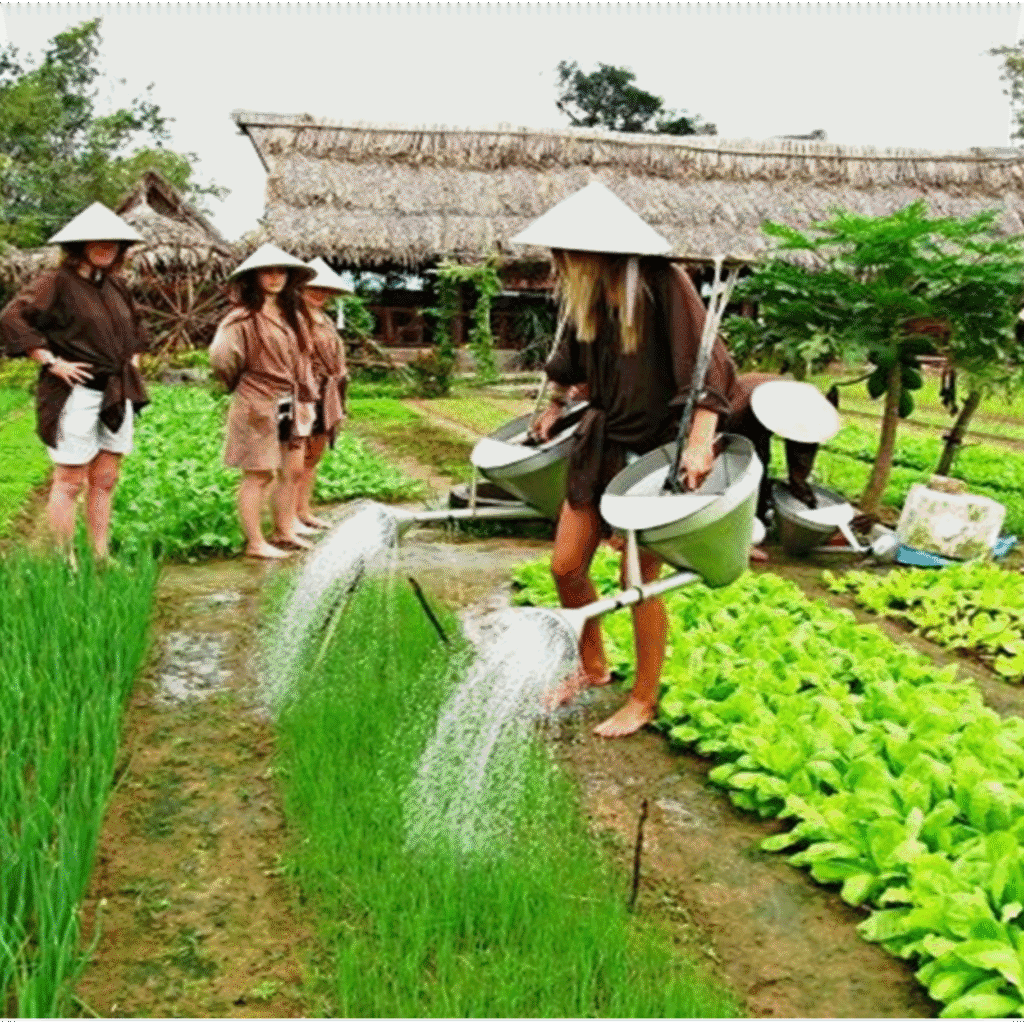 FULL DAY FARMING EXPERIENCE IN ORGANIC VEGETABLE VILLAGE