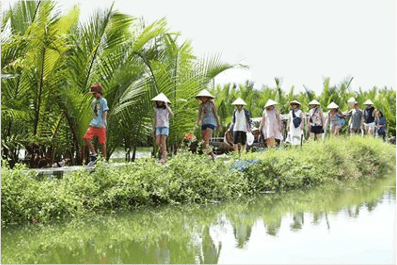 Farming.png-6 Farming.png-6