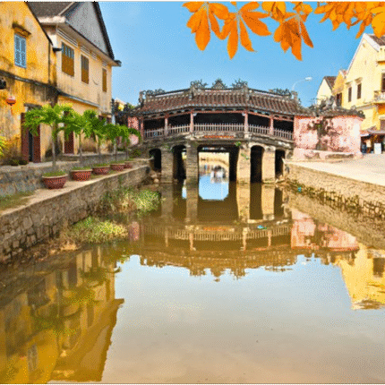 Half day Hoi An Experience
