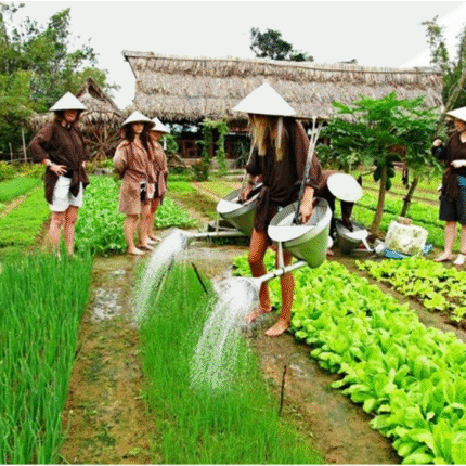 FULL DAY FARMING EXPERIENCE IN ORGANIC VEGETABLE VILLAGE