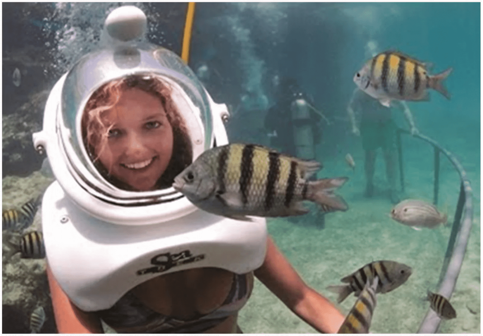 SEA TREK IN CHAM ISLAND -6 SEA TREK IN CHAM ISLAND -6