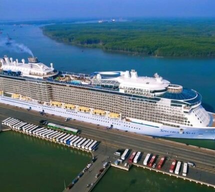 Cu Chi Tunnels Shore Excursion from Hiep Phuoc Port