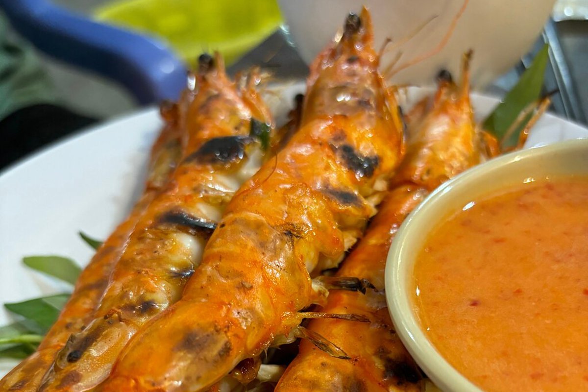 caption (52) copy caption (52) copy