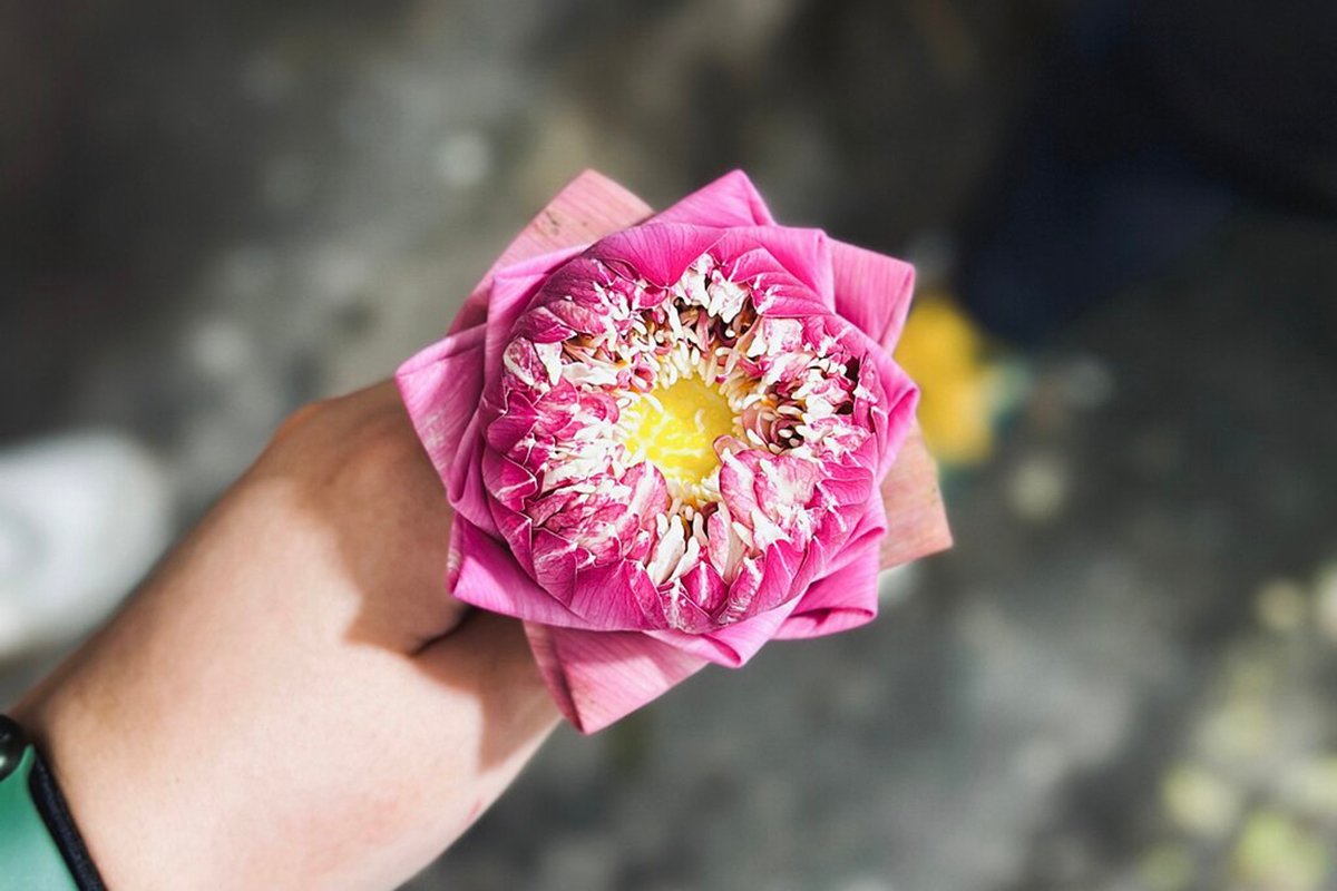 caption (66) copy caption (66) copy