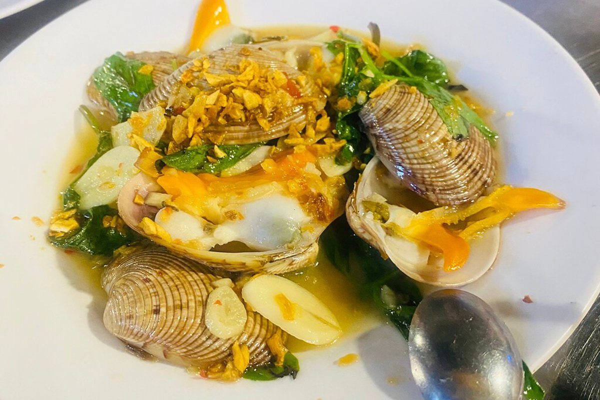 caption (70) copy caption (70) copy