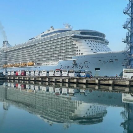 Cu Chi Tunnels Shore Excursion from Nha Rong Port (Saigon Port)