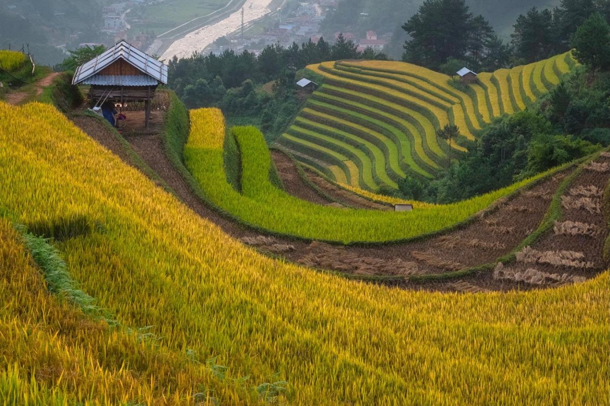 Ninh Binh VIP Private Tour