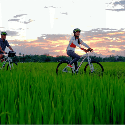 CYCLING TOUR AROUND COUNTRYSIDE HOI AN experience