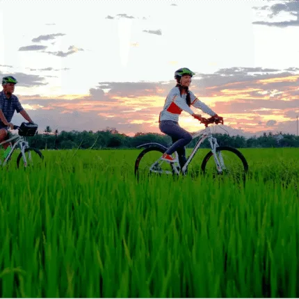 CYCLING TOUR AROUND COUNTRYSIDE HOI AN experience
