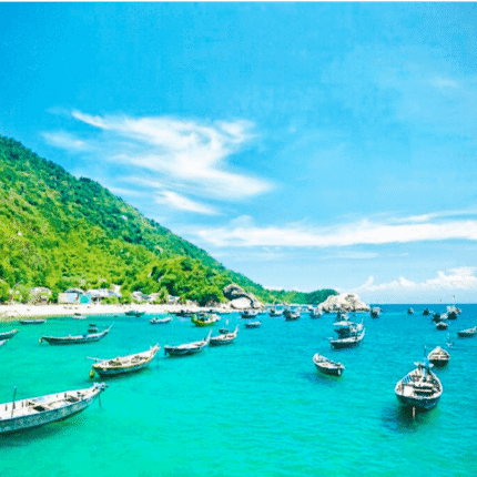 EXCURSION TO CHAM ISLAND tour experience