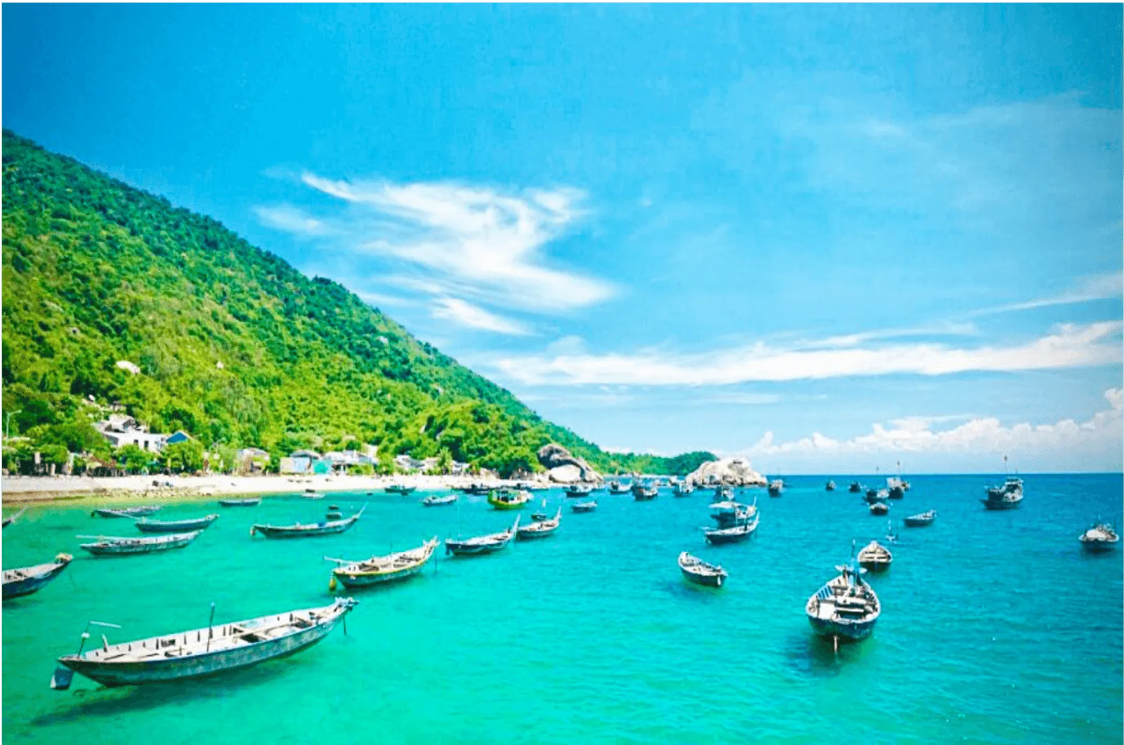 EXCURSION TO CHAM ISLAND tour experience
