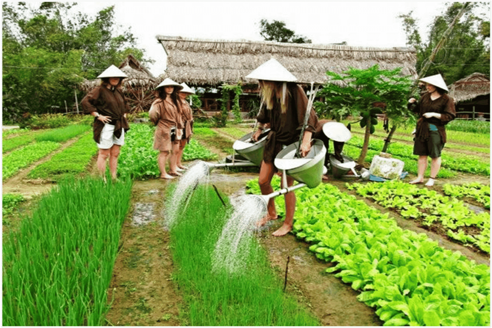 Farming.png-1 FULL DAY FARMING EXPERIENCE IN ORGANIC VEGETABLE VILLAGE experience