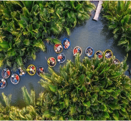 HALF DAY EXPERIENCE BUFFALO RIDE & BASKET BOAT tour experience