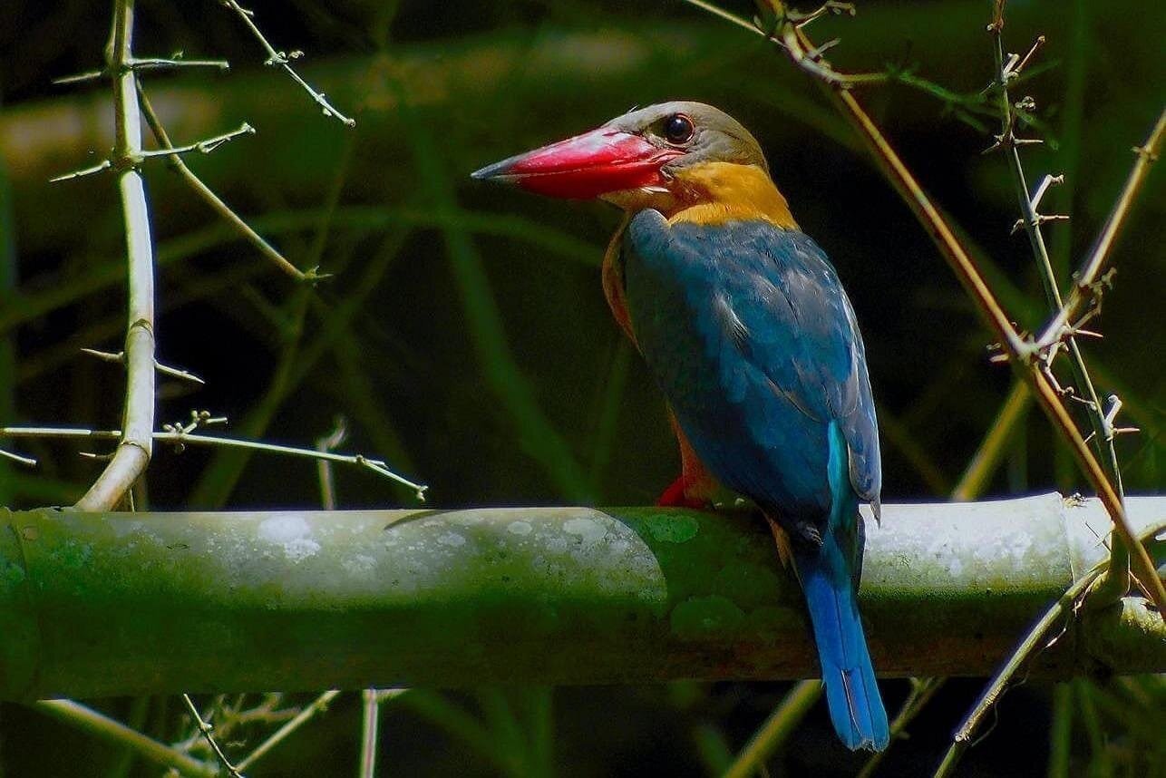 Nam Cat Tien National Park 2 Days 1 Night Private Tour
