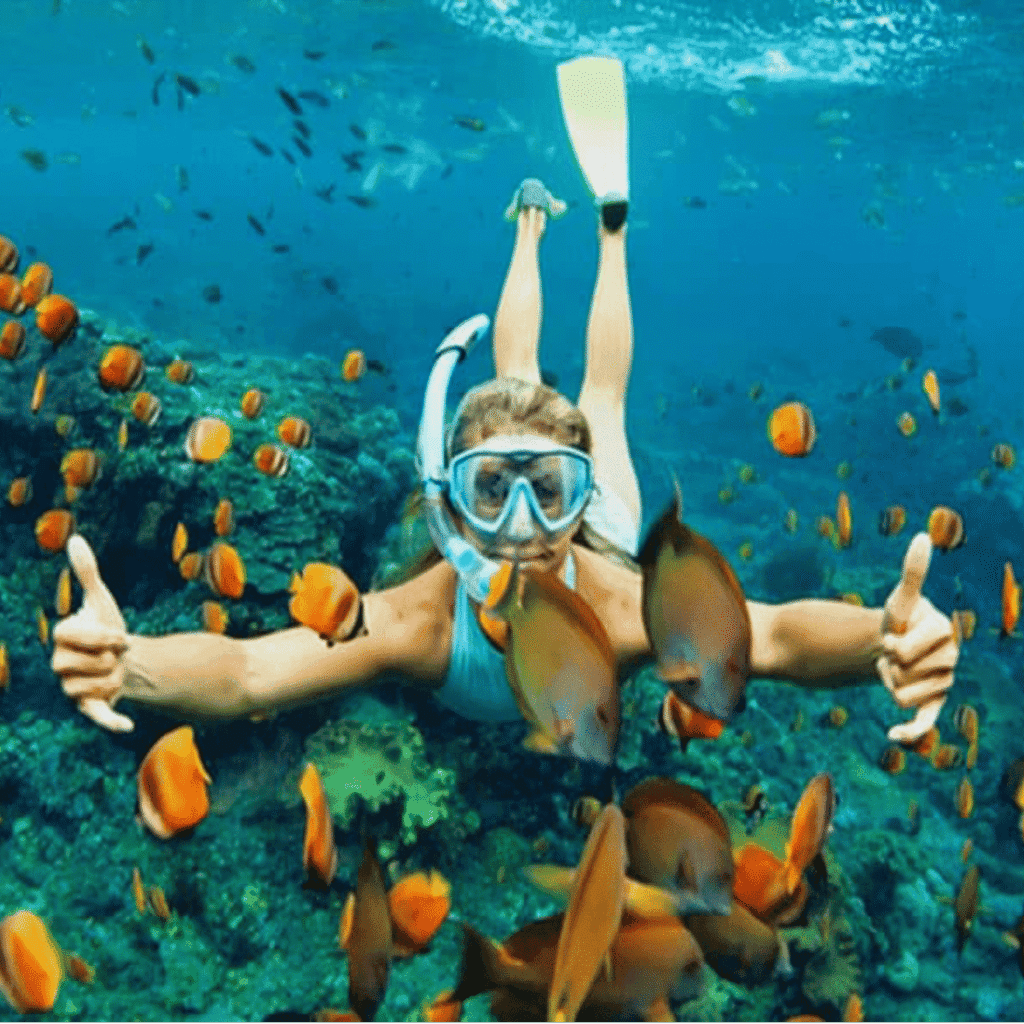 SEA TREK IN CHAM ISLAND