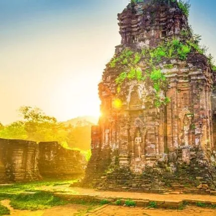 Trip to My Son Sanctuary Ruins tour experience